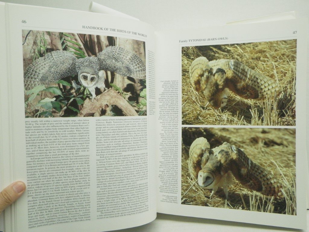 Image 3 of Handbook of the Birds of the World, Vol. 5: Barn Owls to Hummingbirds