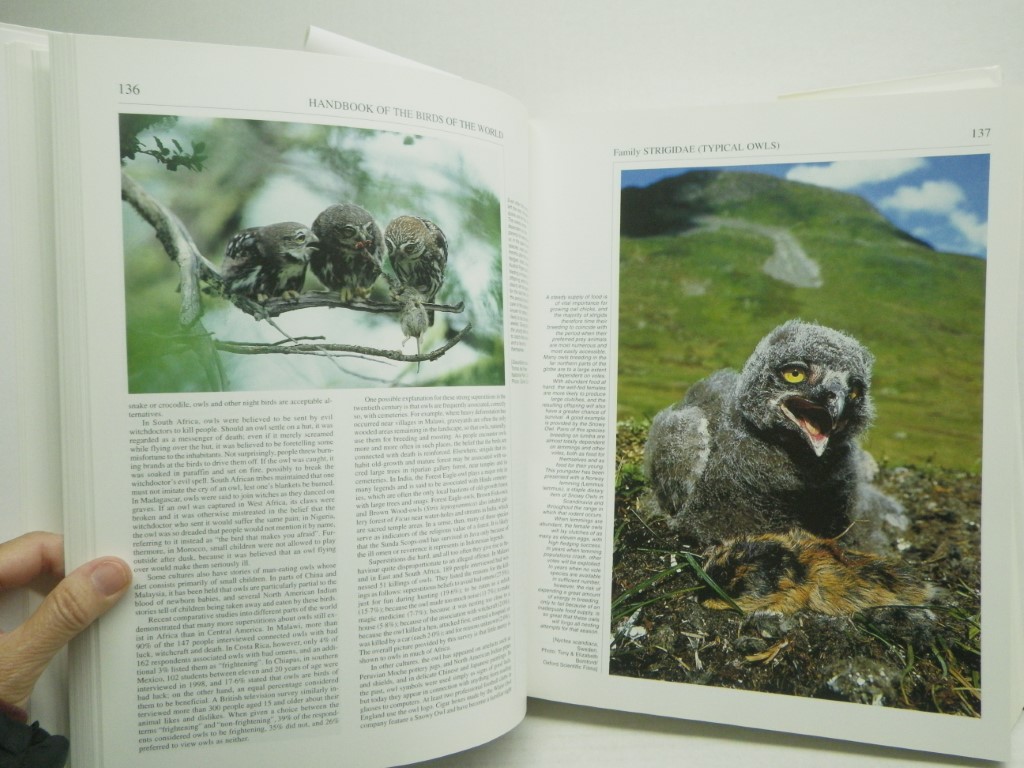 Image 4 of Handbook of the Birds of the World, Vol. 5: Barn Owls to Hummingbirds