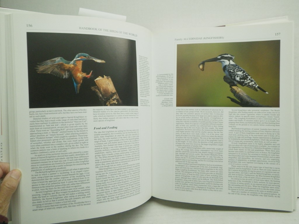 Image 3 of Handbook of the Birds of the World, Volume 6: Mousebirds to Hornbills (Handbook 