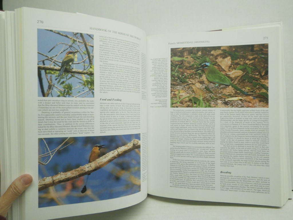 Image 4 of Handbook of the Birds of the World, Volume 6: Mousebirds to Hornbills (Handbook 