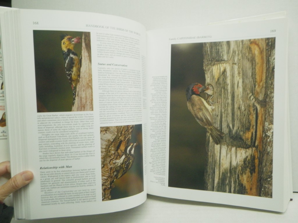 Image 3 of Handbook of the Birds of the World, Vol. 7: Jacamars to Woodpeckers