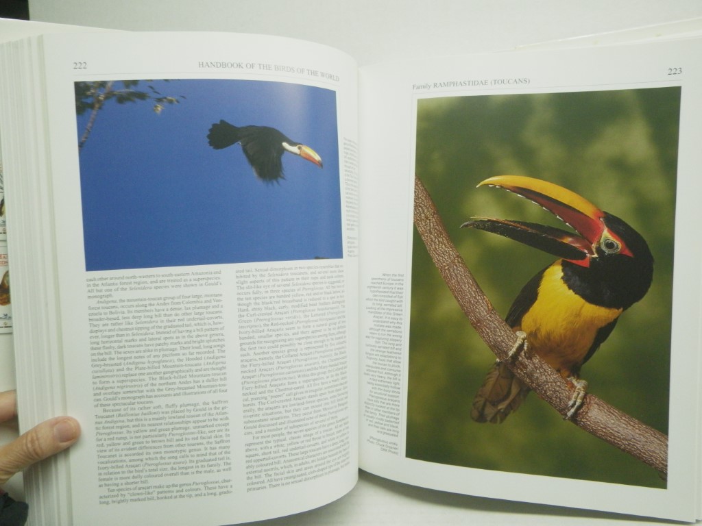 Image 4 of Handbook of the Birds of the World, Vol. 7: Jacamars to Woodpeckers