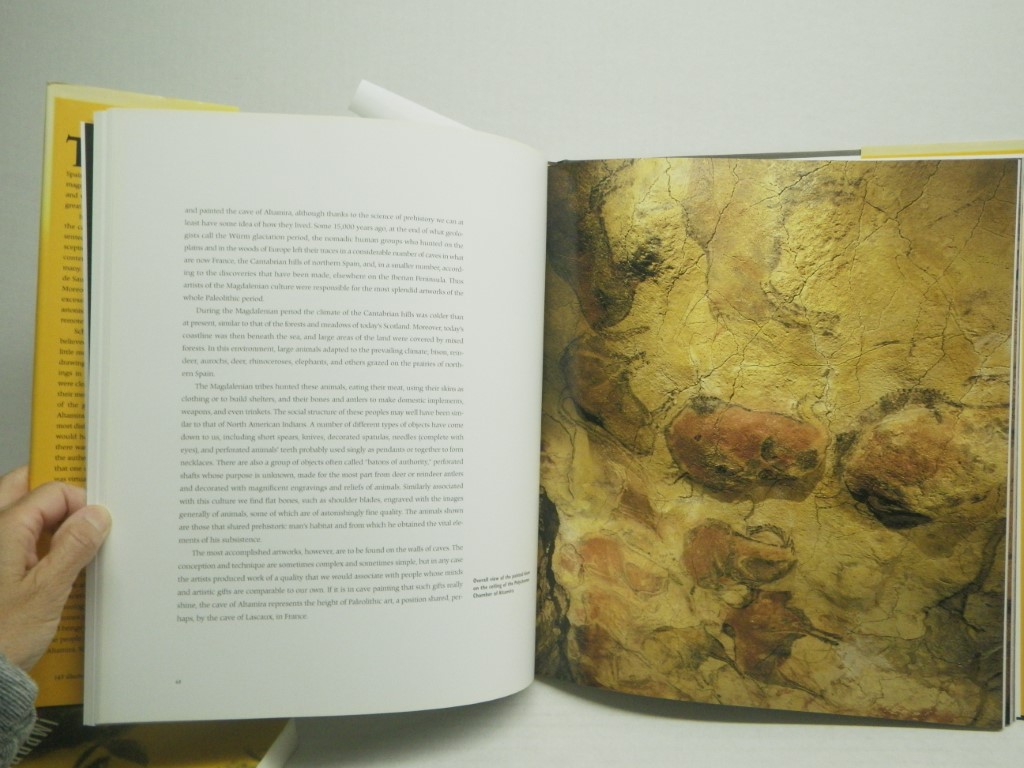 Image 2 of The Cave of Altamira