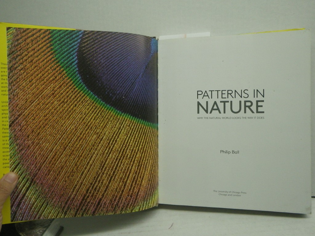 Image 1 of Patterns in Nature: Why the Natural World Looks the Way It Does