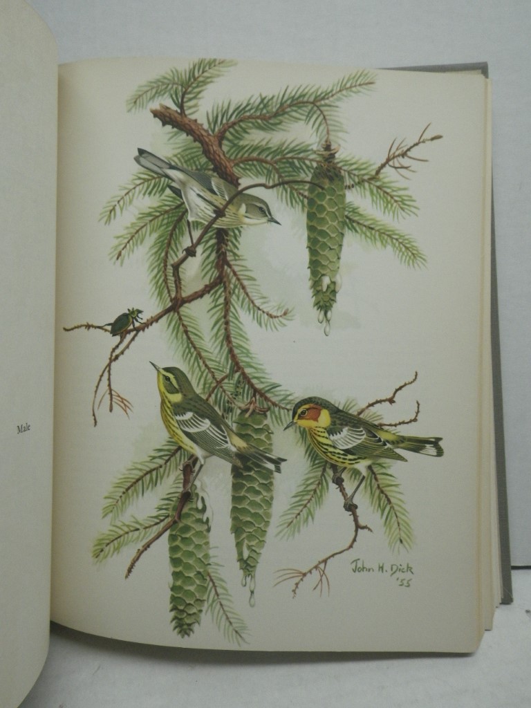 Image 3 of The Warblers of America