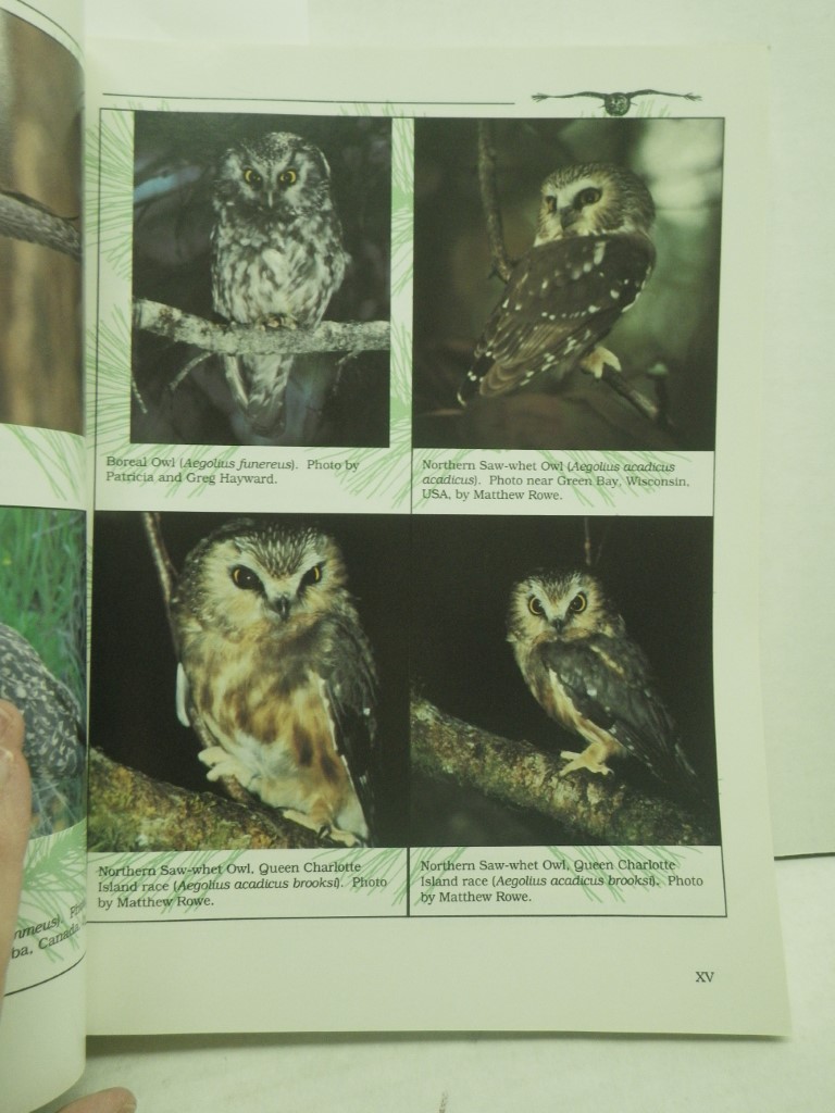 Image 3 of Biology and Conservation of Owls of the Northern Hemisphere Second International