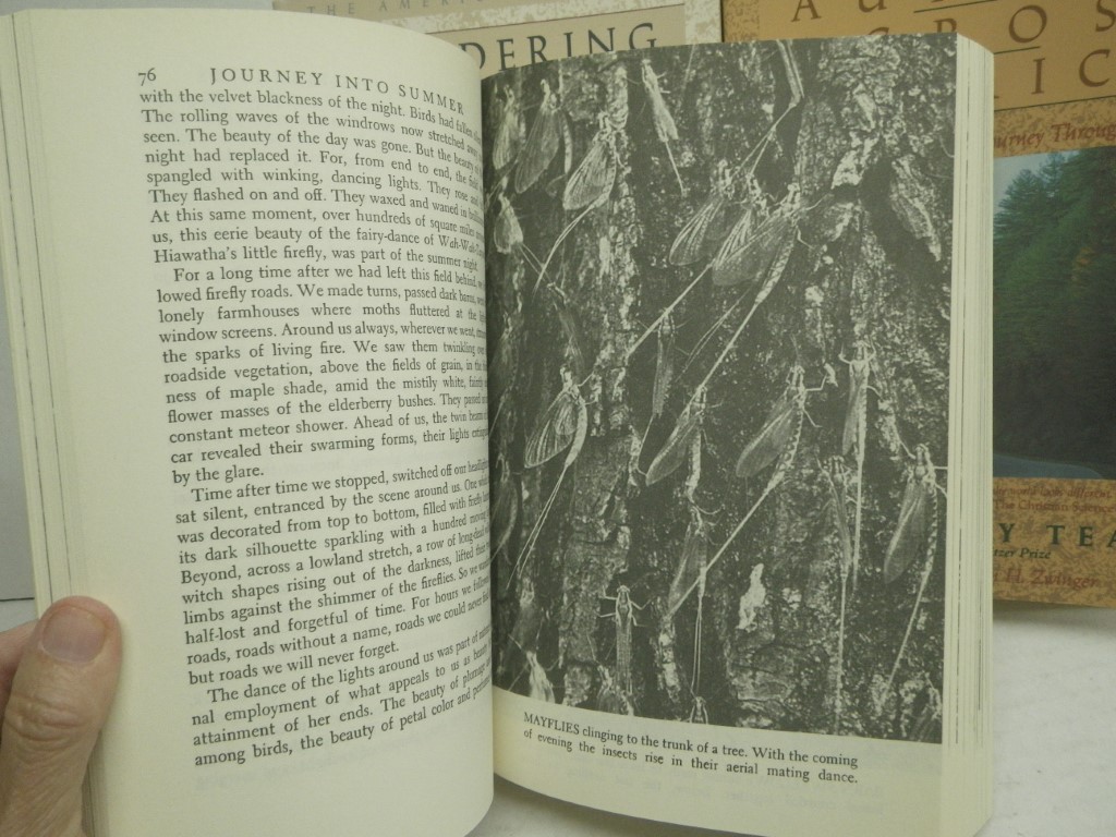 Image 4 of Set of 3 Teale PB:  Journey Into Summer, Autumn Across America, Wandering Throug