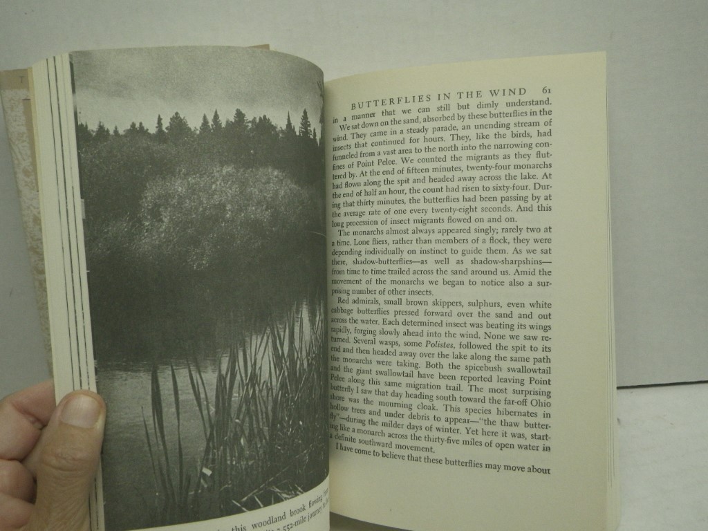 Image 5 of Set of 3 Teale PB:  Journey Into Summer, Autumn Across America, Wandering Throug