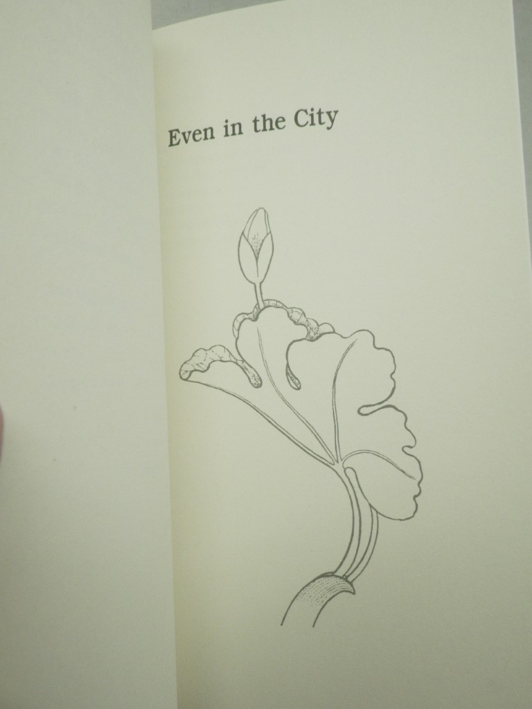 Image 3 of Bloodroot Poems