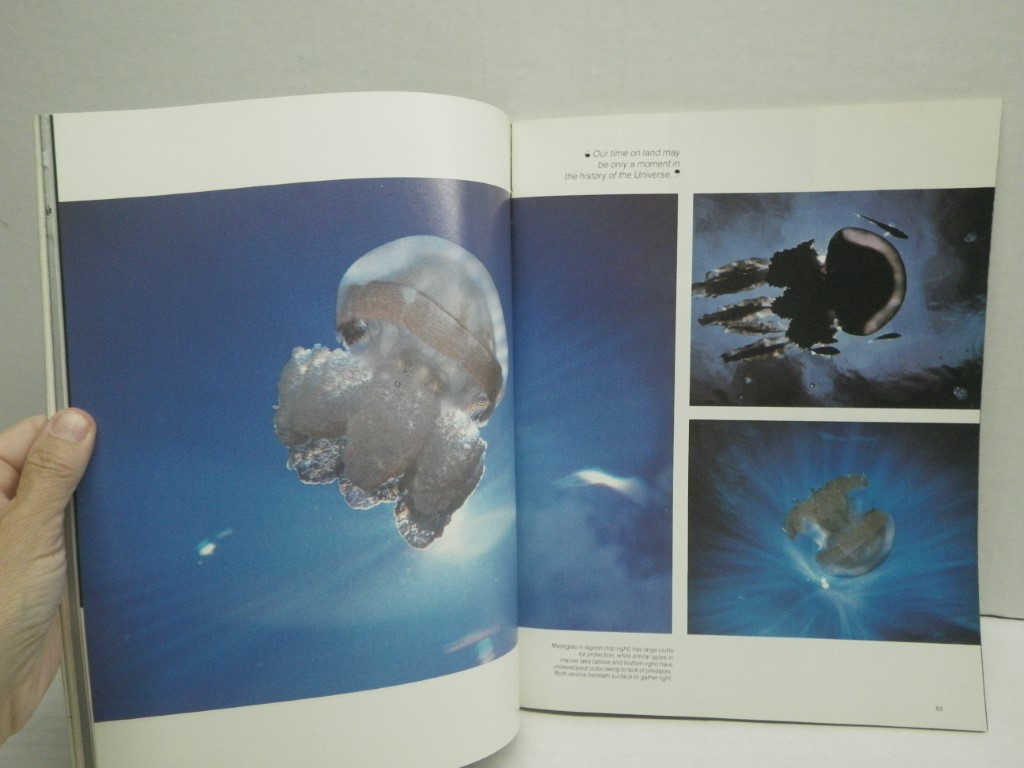 Image 4 of OMNI Magazine (v.1#8 May, 1979; v.1#9 June, 1979).