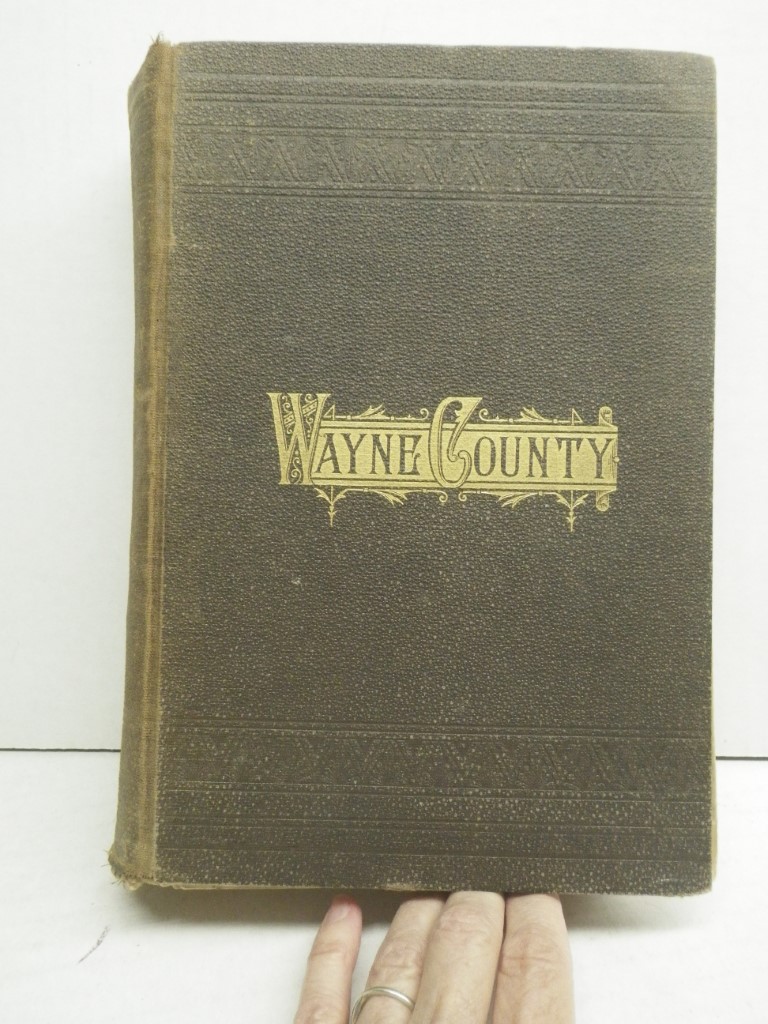 Military History of Wayne County, N.Y.:  The County in the Civil War