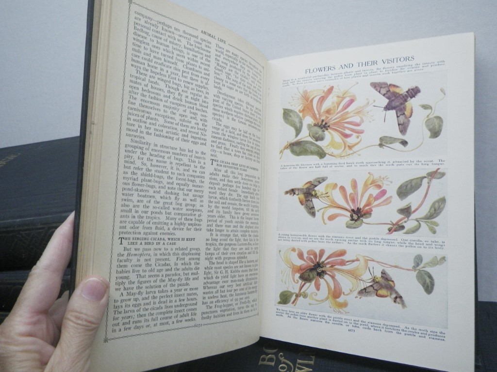 Image 8 of The Book of Knowledge (20 volume set) HC