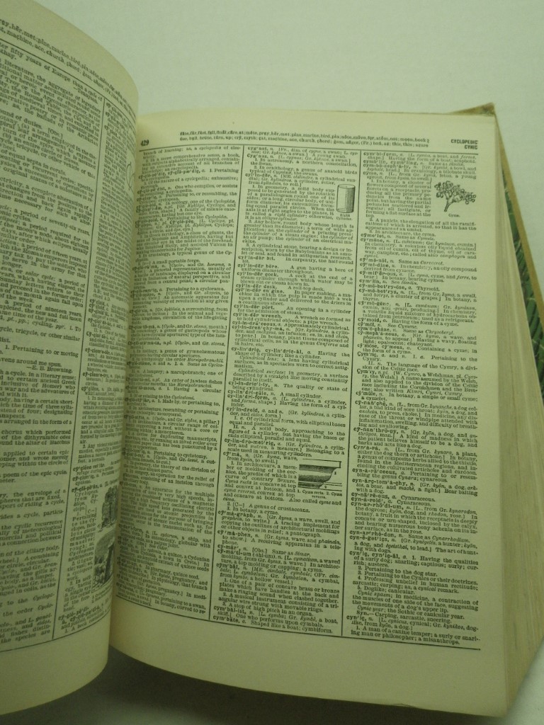Image 3 of Webster's New Twentieth Century Dictionary of the English Language