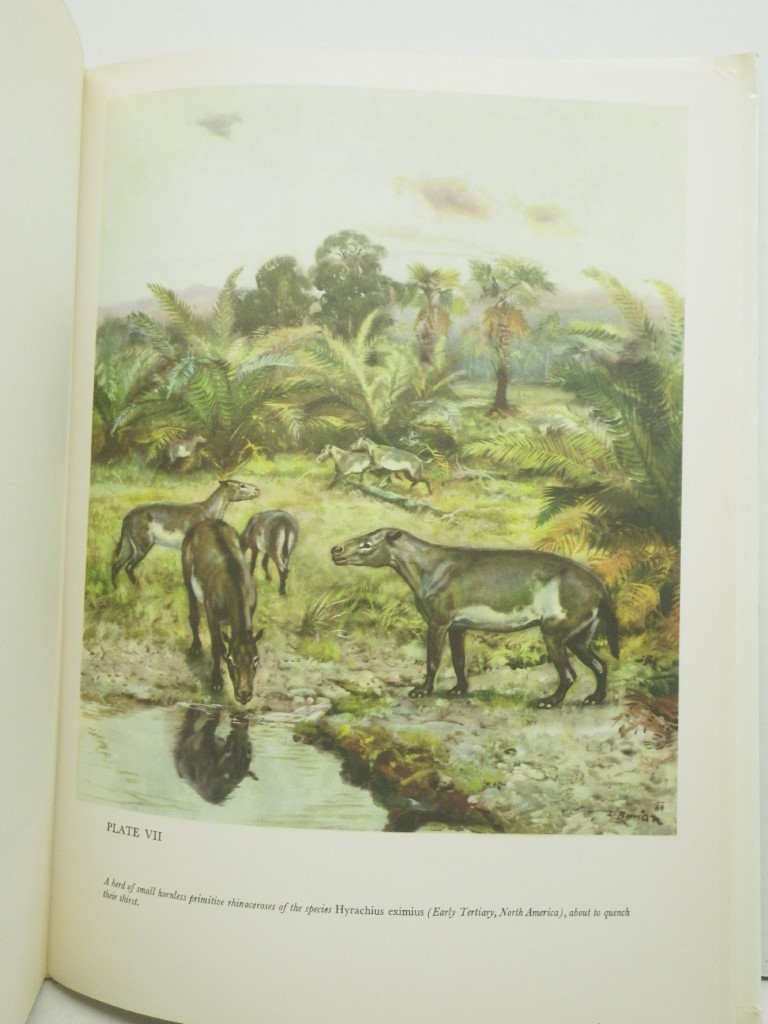 Image 2 of The Age of Monsters