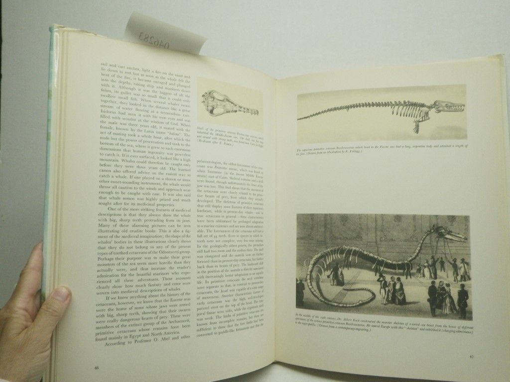 Image 3 of The Age of Monsters