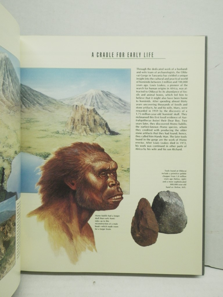 Image 3 of 13 Books From the 