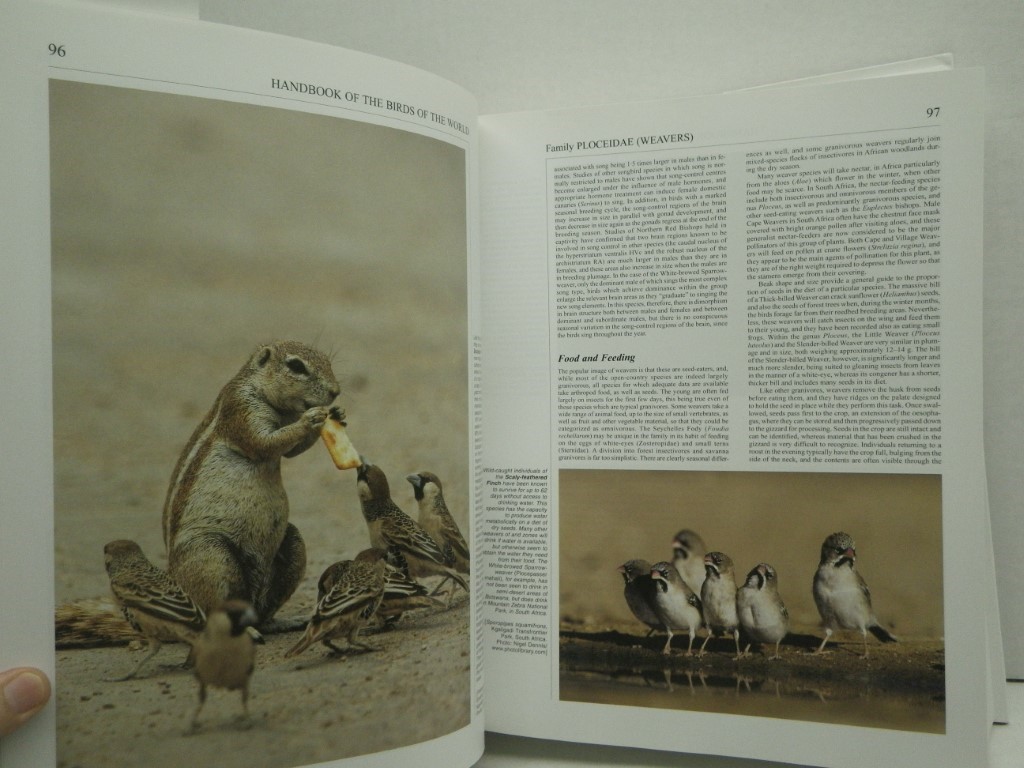 Image 2 of Handbook of the Birds of the World: Weavers to New Word Warblers v. 15