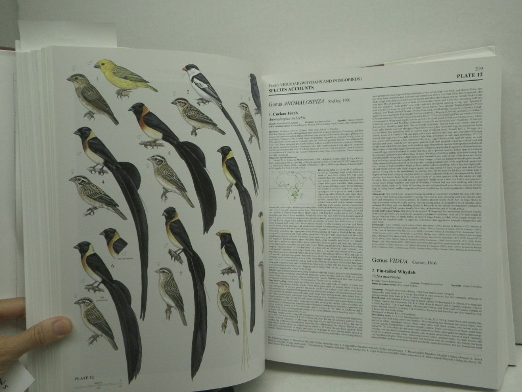 Image 3 of Handbook of the Birds of the World: Weavers to New Word Warblers v. 15