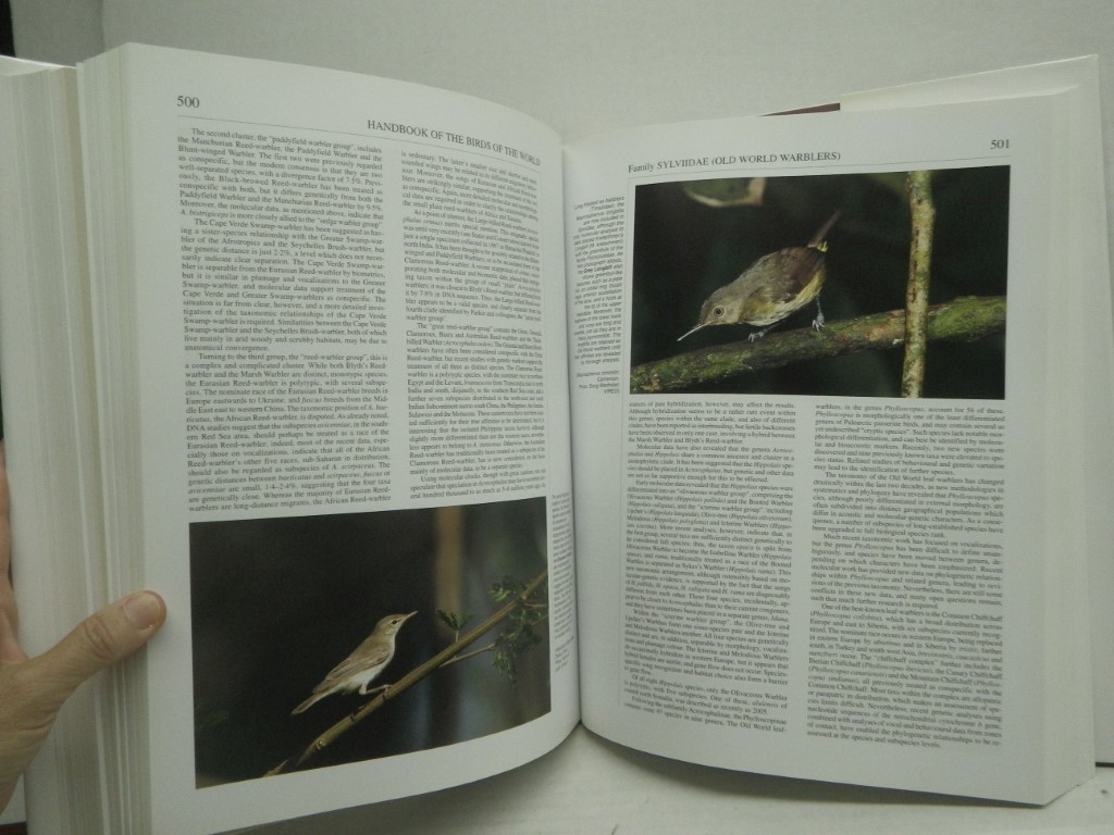 Image 2 of Handbook of the Birds of the World, Volume 11: Old World Flycatcher's to the Old