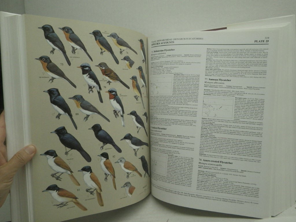 Image 3 of Handbook of the Birds of the World, Volume 11: Old World Flycatcher's to the Old