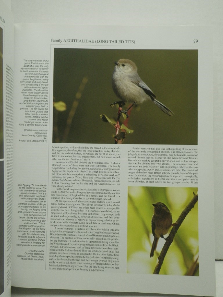 Image 2 of Handbook of the Birds of the World, Vol. 13: Penduline-tits to Shrikes