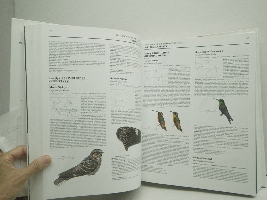 Image 2 of New Species and Global Index, Hanebook of the Birds of the World