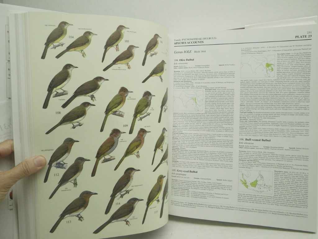 Image 2 of Handbook of the Birds of the World, Vol. 10: Cuckoo-Shrikes to Thrushes