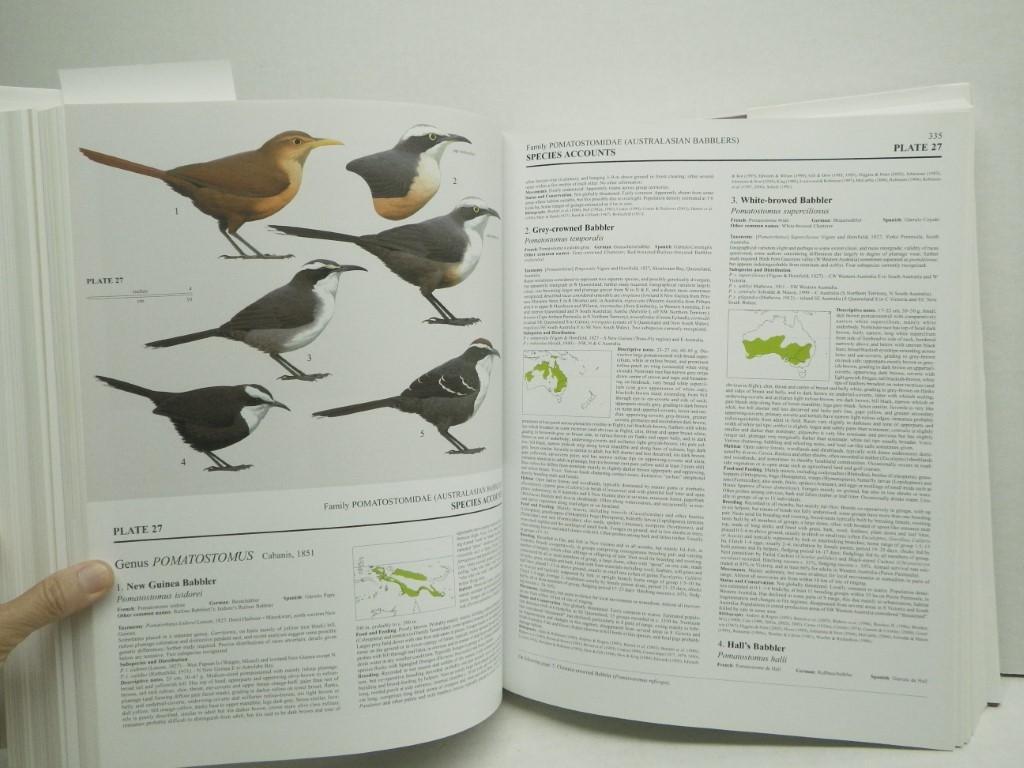 Image 3 of Handbook of the Birds of the World – Volume 12: Picathartes to Tits and Chicka