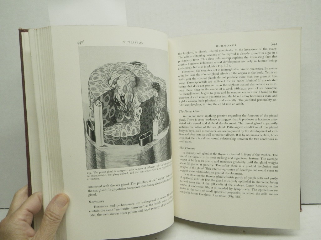 Image 3 of Man in Structure and Function  (2 volumes)