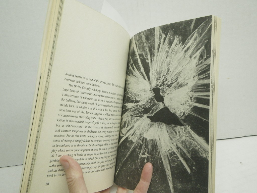 Image 3 of The Joyous Cosmology:  Adventures in the Chemistry of Consciousness