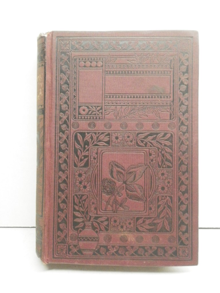 The Desert Home:  or, the Adventures of a Lost Family in the Wilderness