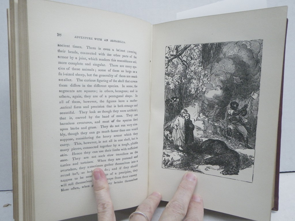 Image 3 of The Desert Home:  or, the Adventures of a Lost Family in the Wilderness
