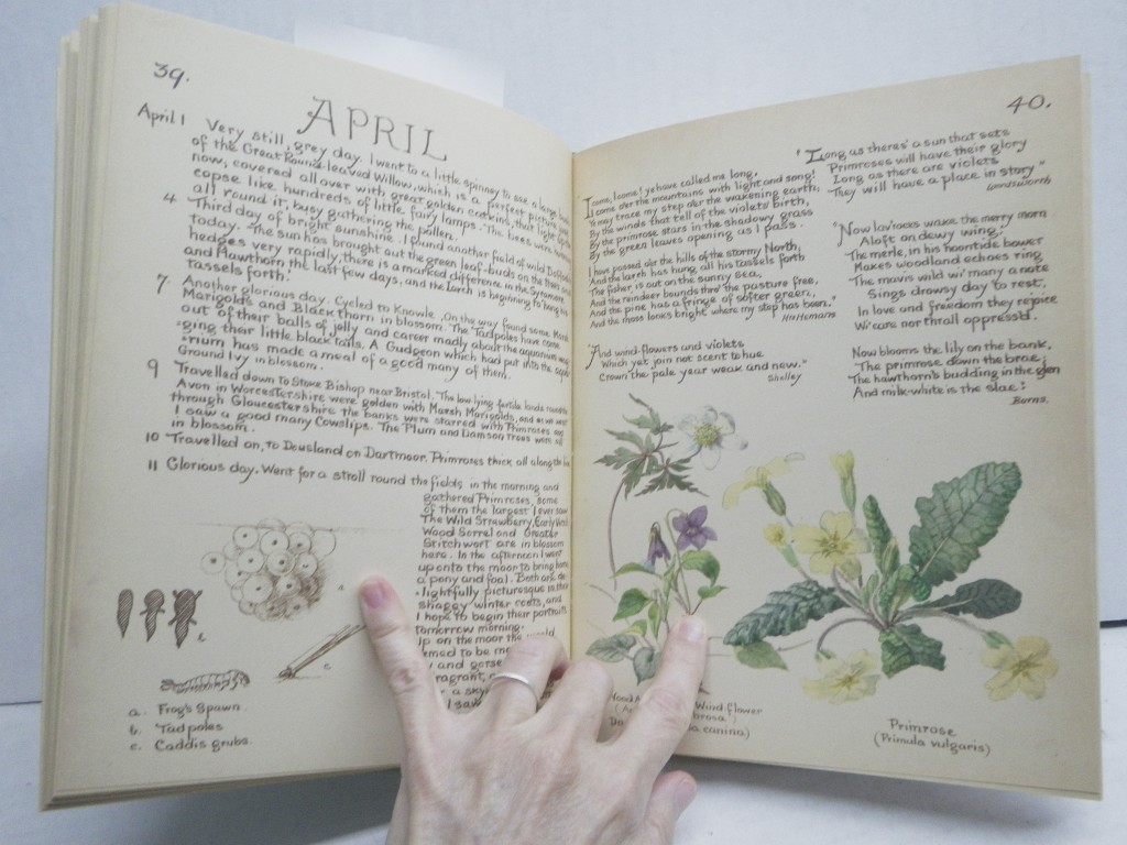 Image 3 of The Country Diary of An Edwardian Lady: A facsimile reproduction of a 1906 natur