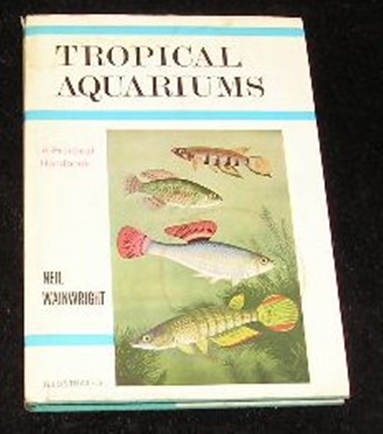 Image 0 of Tropical Aquariums