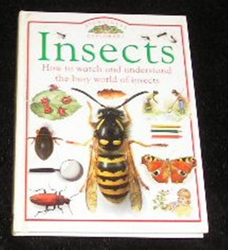 Image 0 of Insects