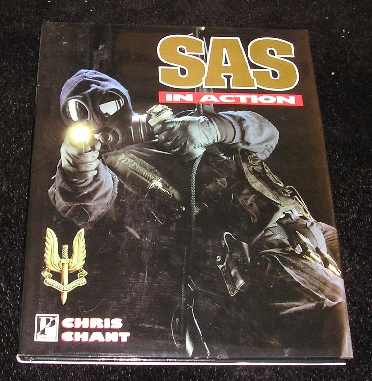 Image 0 of SAS in Action