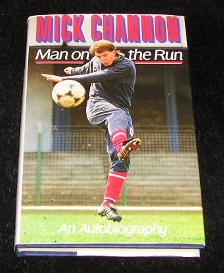 Image 0 of Man on the Run