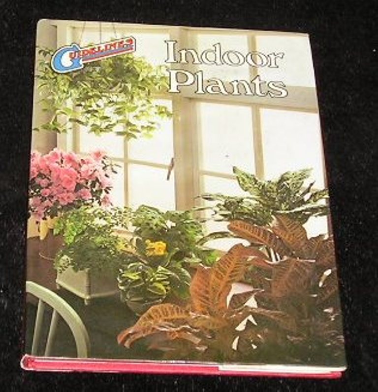 Image 0 of Indoor Plants