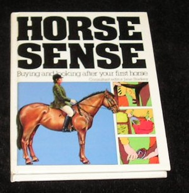 Image 0 of Horse Sense