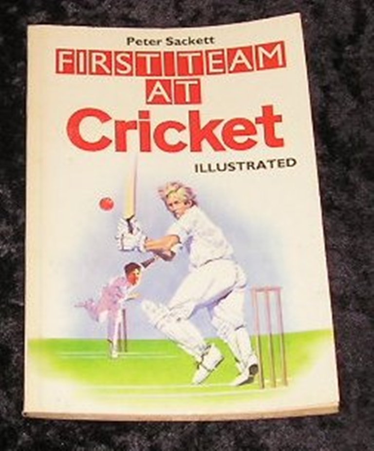 Image 0 of First Team at Cricket