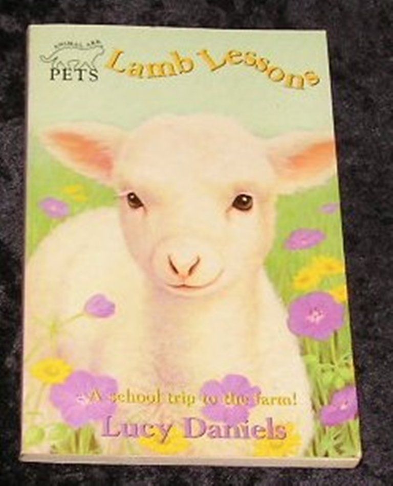 Image 0 of Lamb Lesson