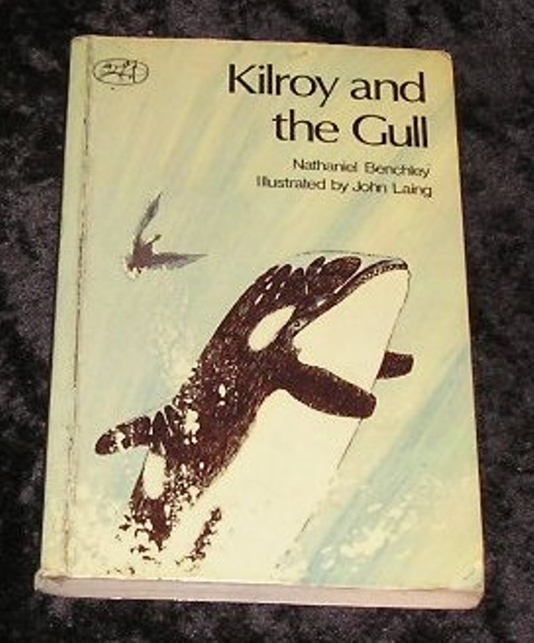 Image 0 of Kilroy and the Gull