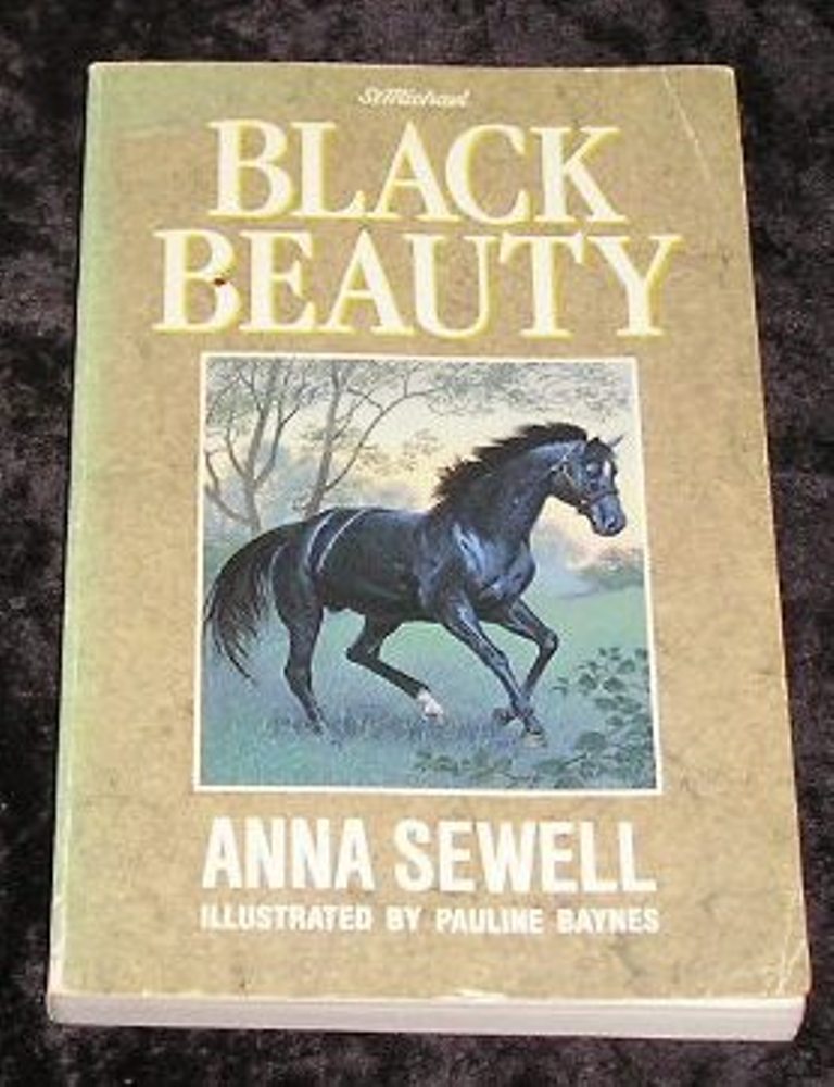Image 0 of Black Beauty