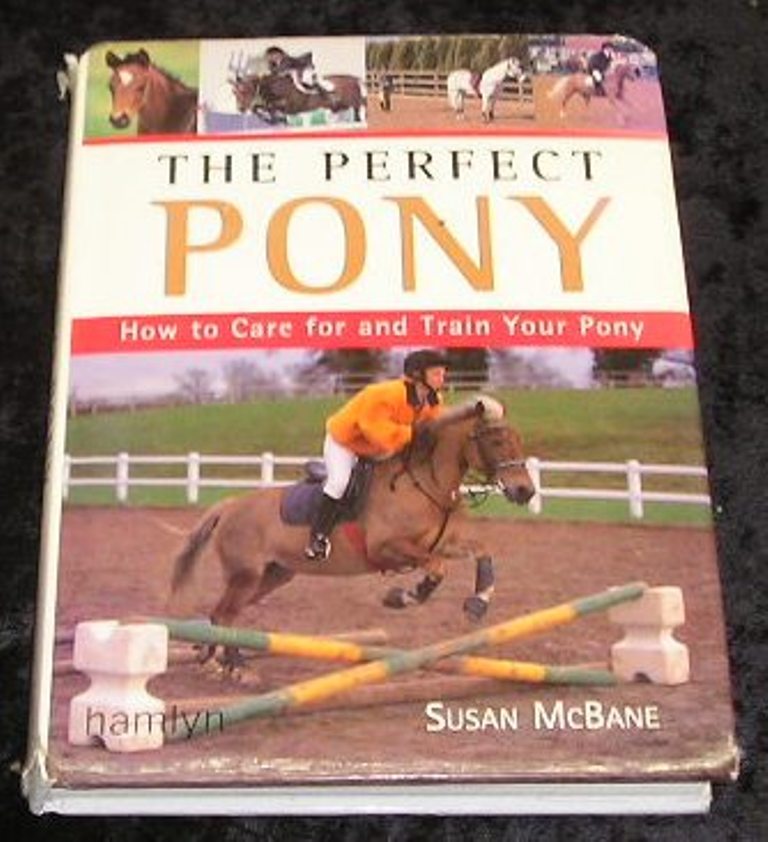 Image 0 of The Perfect Pony