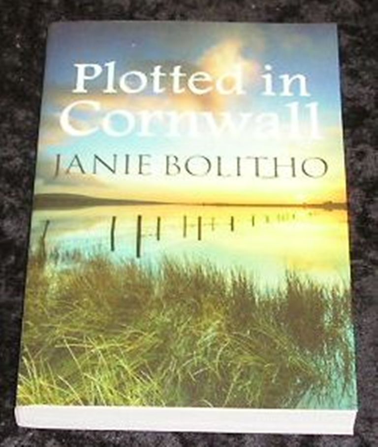 Image 0 of Plotted in Cornwall