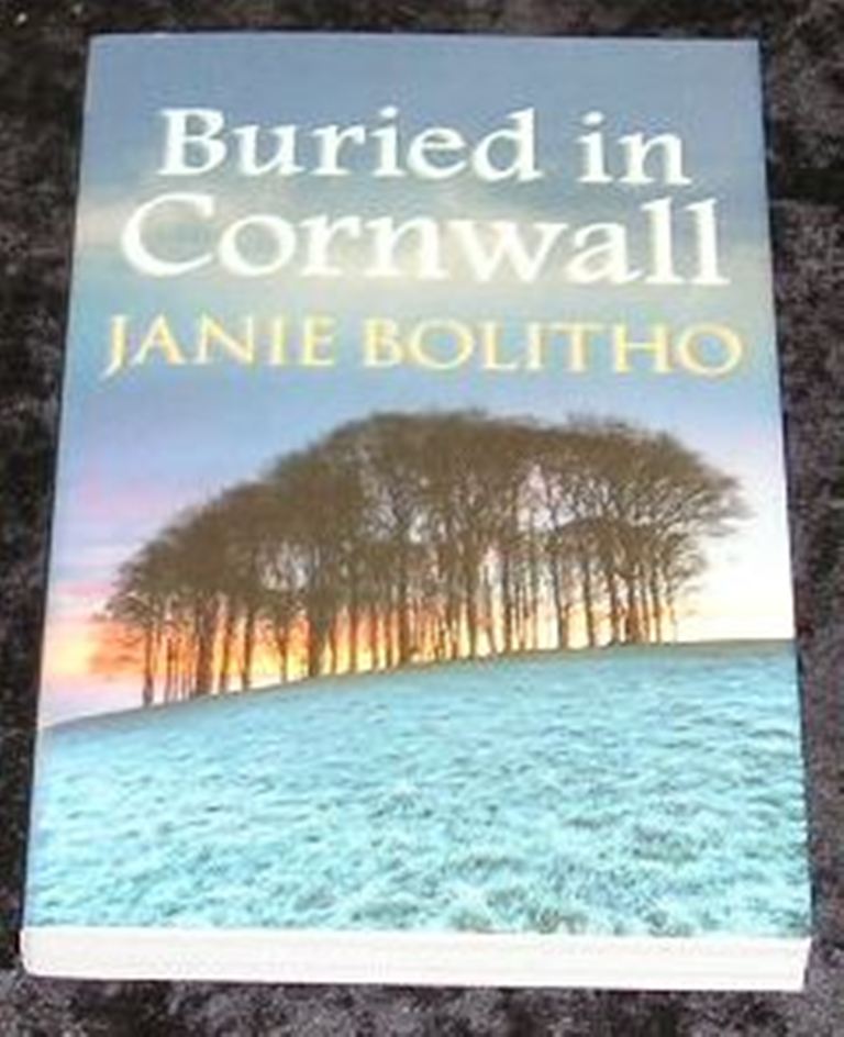 Image 0 of Buried in Cornwall