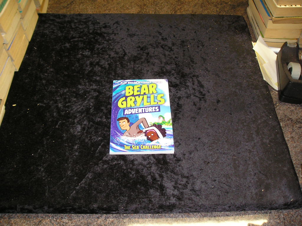 Image 0 of A Bear Grylls Adventure 4: The Sea Challenge: by bestselling author and Chief Sc