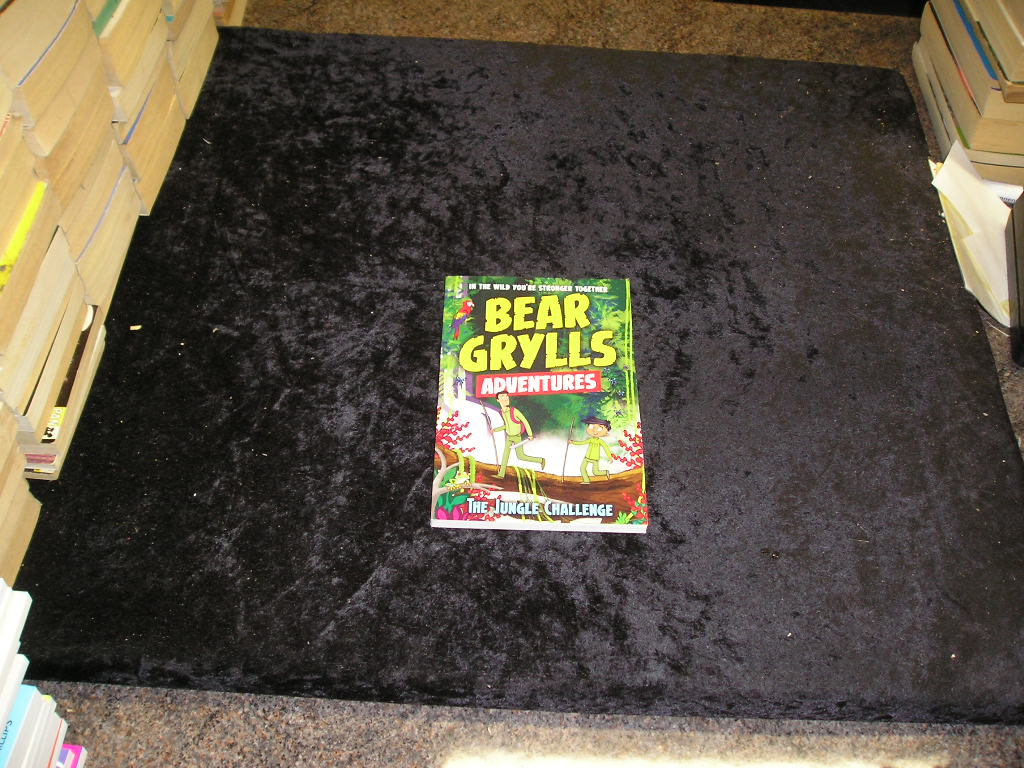 Image 0 of The Jungle Challenge: By Bestselling Author and Chief Scout Bear Grylls (A Bear 
