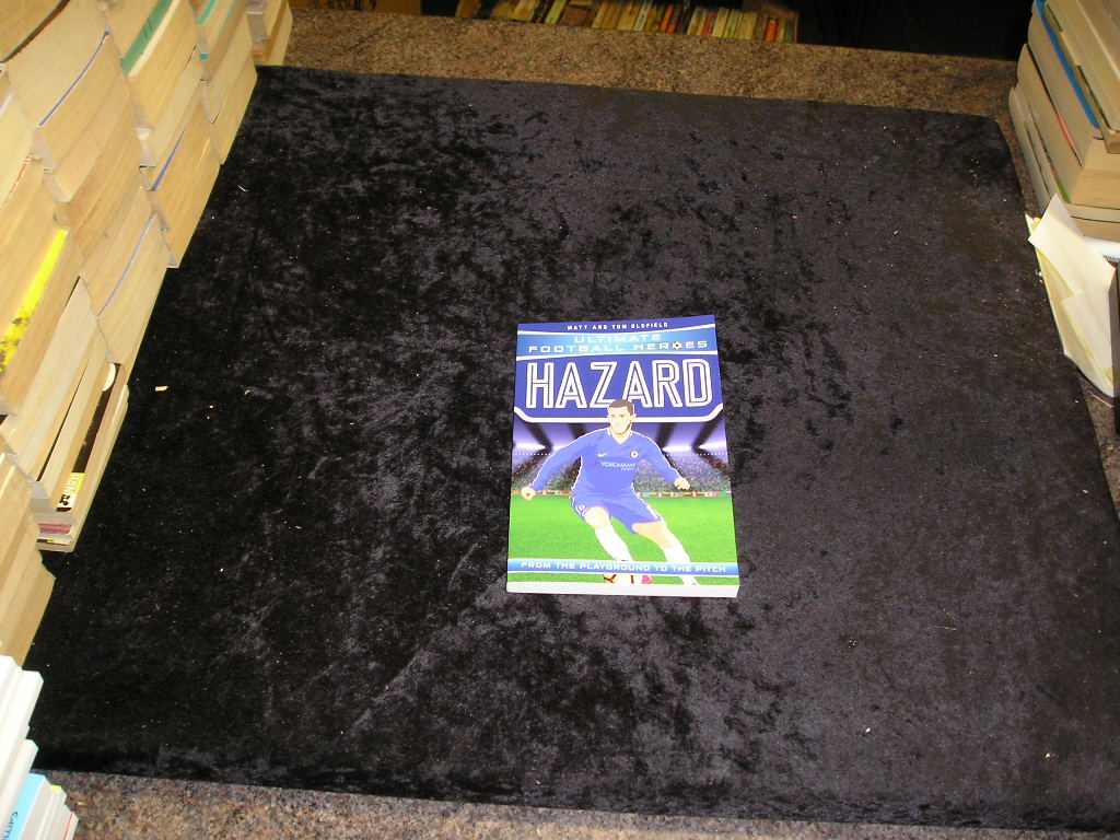 Image 0 of Hazard: From the Playground to the Pitch (Ultimate Football Heroes)