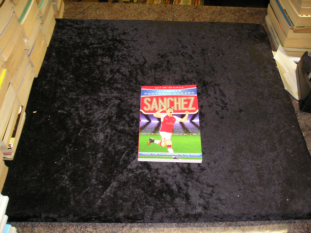 Image 0 of Sanchez: From the Playground to the Pitch (Ultimate Football Heroes)